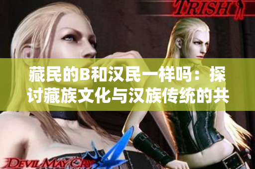 藏民的B和汉民一样吗：探讨藏族文化与汉族传统的共通之处