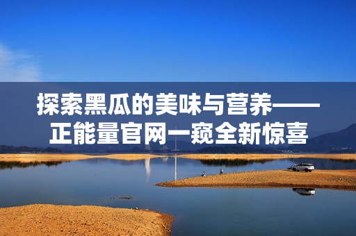 探索黑瓜的美味与营养——正能量官网一窥全新惊喜