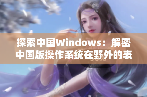 探索中国Windows：解密中国版操作系统在野外的表现