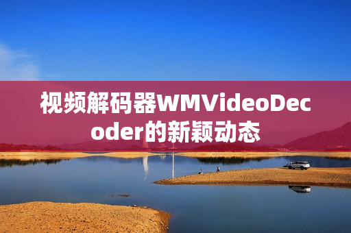 视频解码器WMVideoDecoder的新颖动态