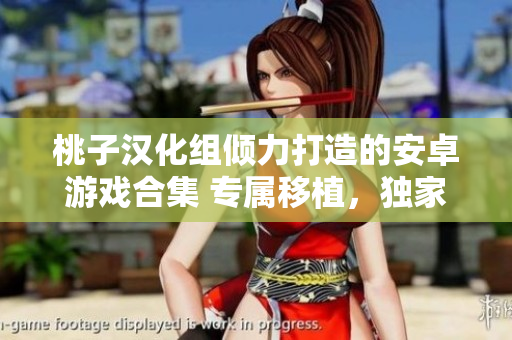 桃子汉化组倾力打造的安卓游戏合集 专属移植，独家问世，尽享精彩游戏时刻！