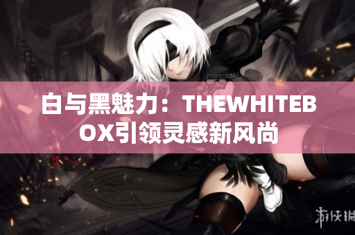 白与黑魅力：THEWHITEBOX引领灵感新风尚