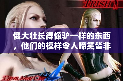 傻大壮长得像驴一样的东西，他们的模样令人啼笑皆非，让人忍俊不禁。
