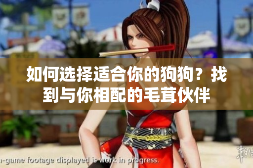 如何选择适合你的狗狗？找到与你相配的毛茸伙伴