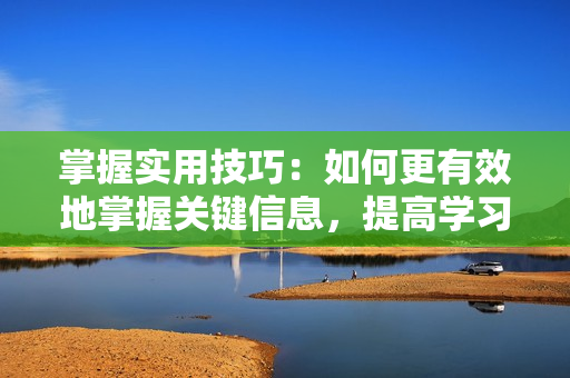 掌握实用技巧：如何更有效地掌握关键信息，提高学习效率？