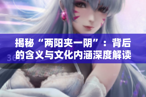 揭秘“两阳夹一阴”：背后的含义与文化内涵深度解读