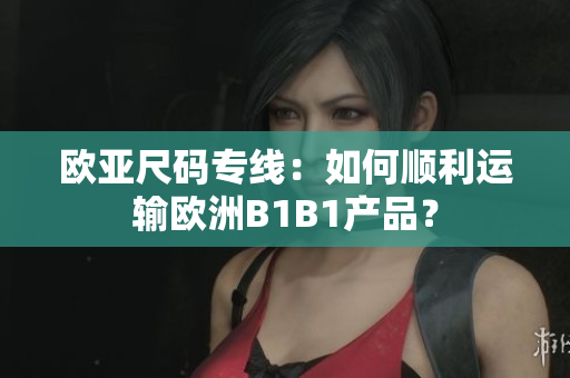 欧亚尺码专线：如何顺利运输欧洲B1B1产品？