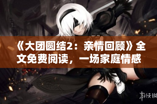 《大团圆结2：亲情回顾》全文免费阅读，一场家庭情感盛宴等你品味。