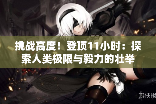 挑战高度！登顶11小时：探索人类极限与毅力的壮举