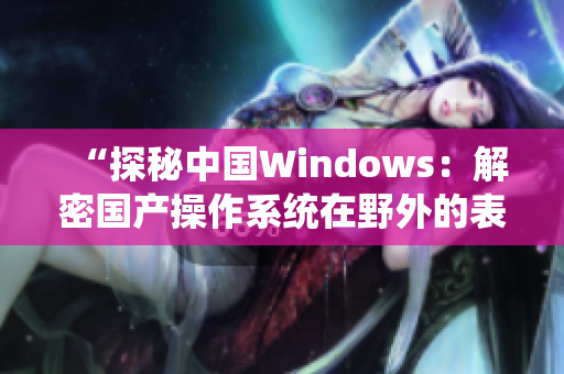 “探秘中国Windows：解密国产操作系统在野外的表现与前景展望”