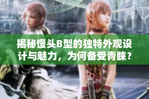 揭秘馒头B型的独特外观设计与魅力，为何备受青睐？