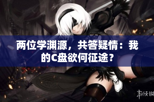 两位学渊源，共答疑情：我的C盘欲何征途？