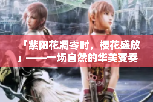 「紫阳花凋零时，樱花盛放」——一场自然的华美变奏