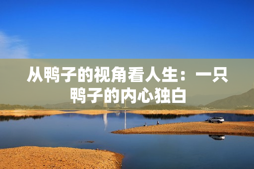 从鸭子的视角看人生：一只鸭子的内心独白