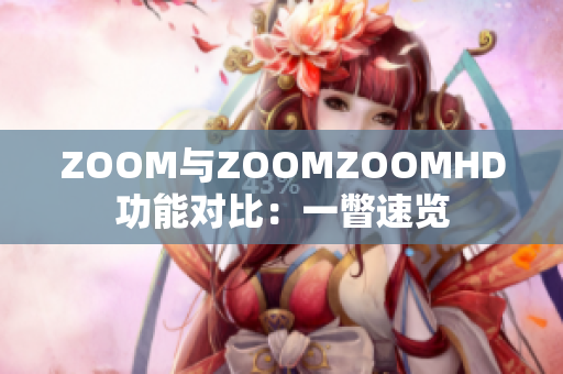 ZOOM与ZOOMZOOMHD功能对比：一瞥速览