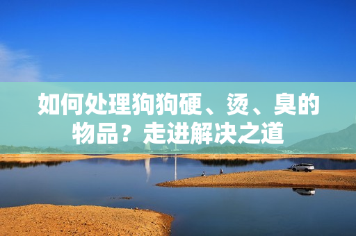 如何处理狗狗硬、烫、臭的物品？走进解决之道