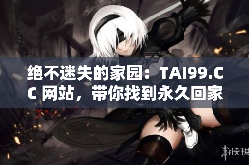 绝不迷失的家园：TAI99.CC 网站，带你找到永久回家的路径