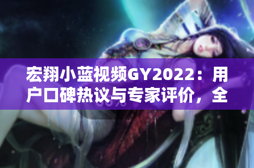宏翔小蓝视频GY2022：用户口碑热议与专家评价，全面解析使用体验