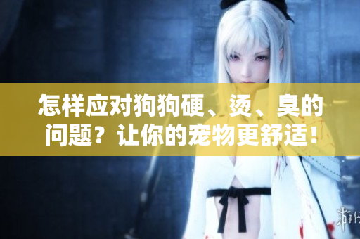 怎样应对狗狗硬、烫、臭的问题？让你的宠物更舒适！