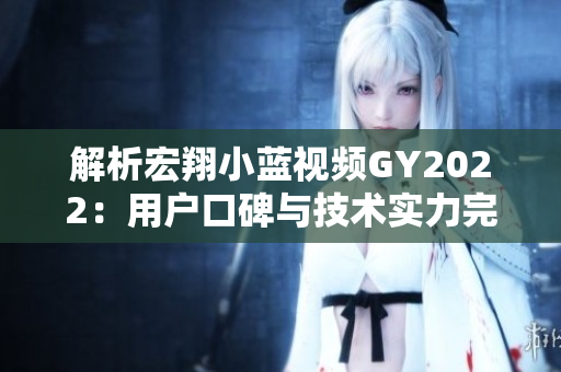 解析宏翔小蓝视频GY2022：用户口碑与技术实力完美结合的评述