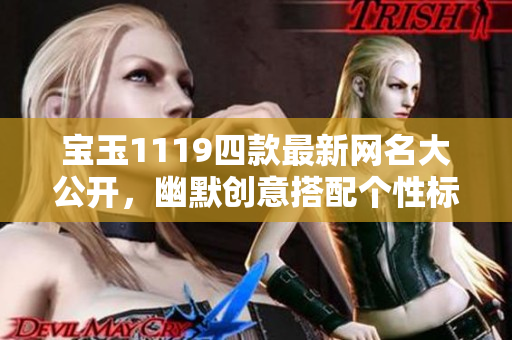 宝玉1119四款最新网名大公开，幽默创意搭配个性标签，助你快速脱离网名困境