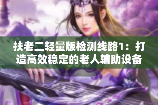 扶老二轻量版检测线路1：打造高效稳定的老人辅助设备安全检测体系