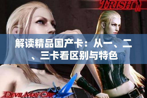 解读精品国产卡：从一、二、三卡看区别与特色