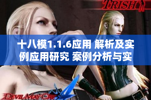 十八模1.1.6应用 解析及实例应用研究 案例分析与实践指导