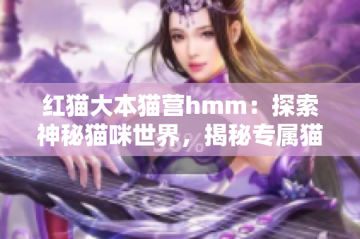 红猫大本猫营hmm：探索神秘猫咪世界，揭秘专属猫咪文化